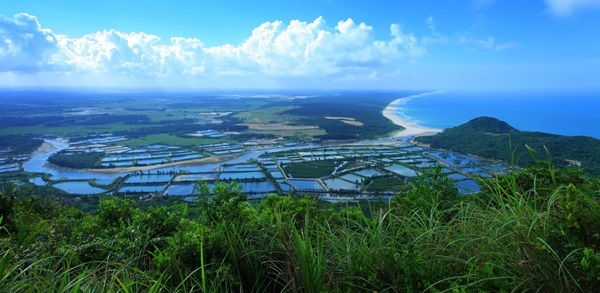 海南农业园区